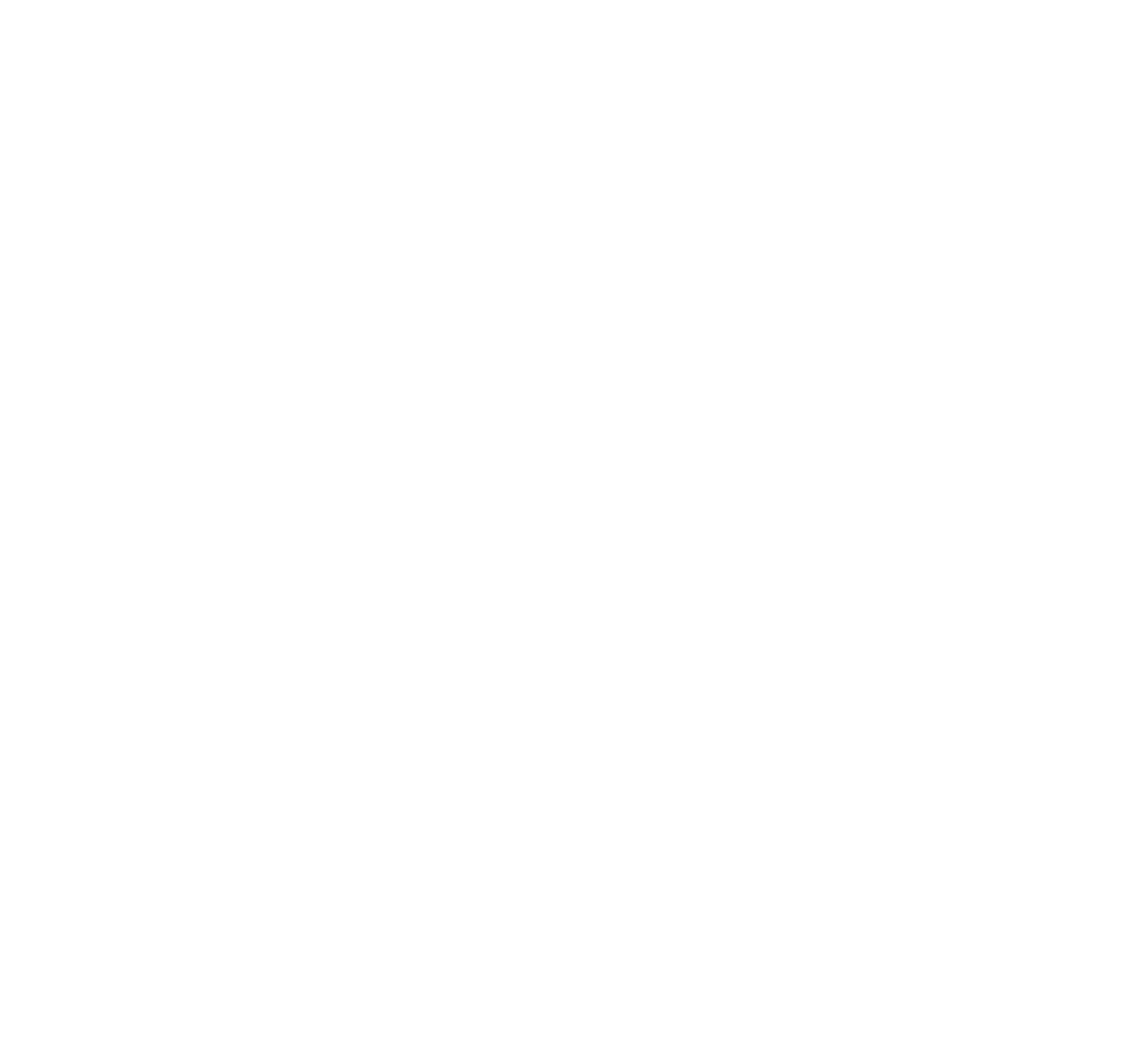 LPOI Logo